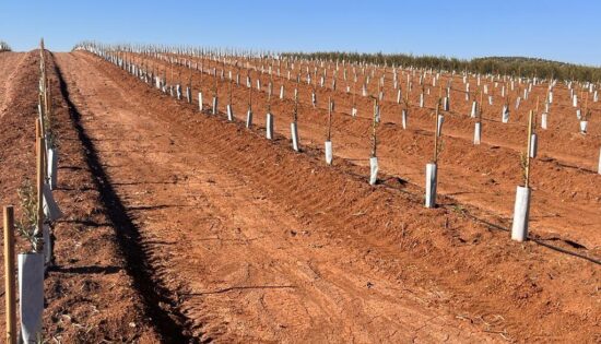 Microsoftteams Image (222)