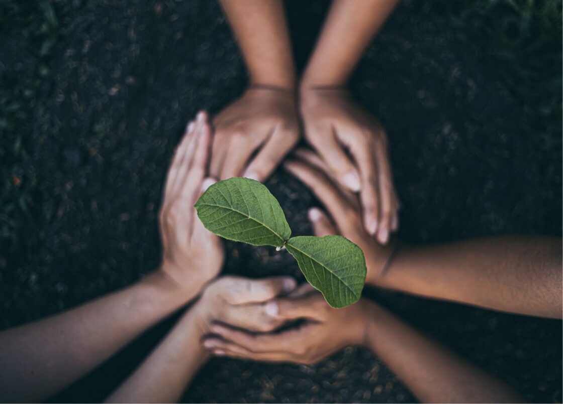 Analisis de ciclo de vida