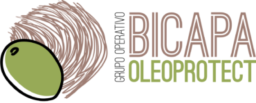2024 Go Bicapa Logotipo