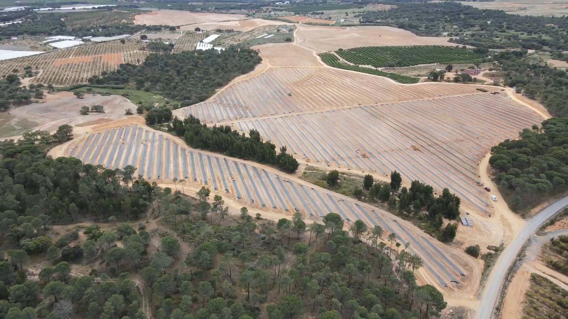 Nueva web DNT Agro: soluciones sostenibles para cada cultivo