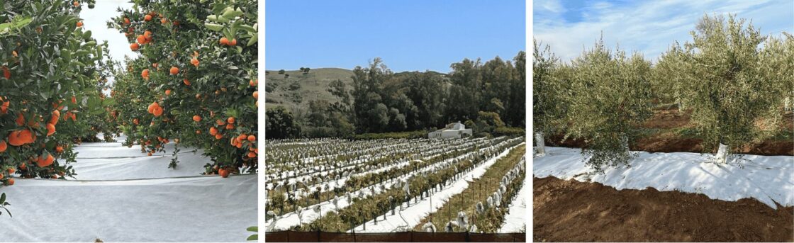 Soluciones sostenibles para cada cultivo