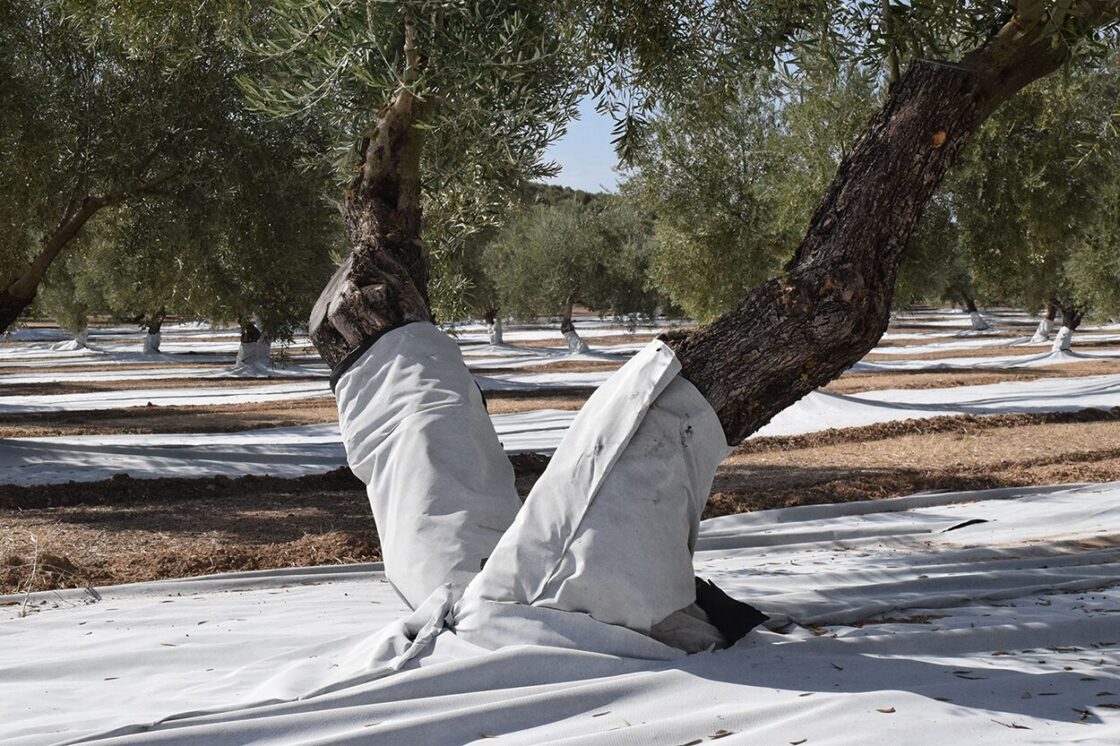 Anti-Tige Double Couche