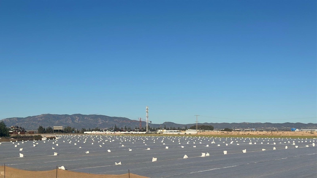 Protege tus cultivos de sandías y melones