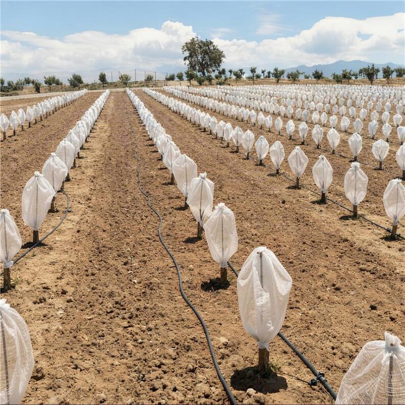 Funda Tubular En Pistacheros