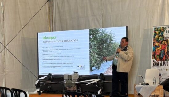 Futuroliva Innovación Sostenible Para El Futuro Del Olivar